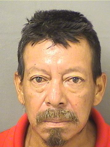 DOMINGO PEDROJOSE Results from Palm Beach County Florida for DOMINGO PEDROJOSE DOMINGO PEDROJOSE Results from Palm Beach County Florida for DOMINGO PEDROJOSE