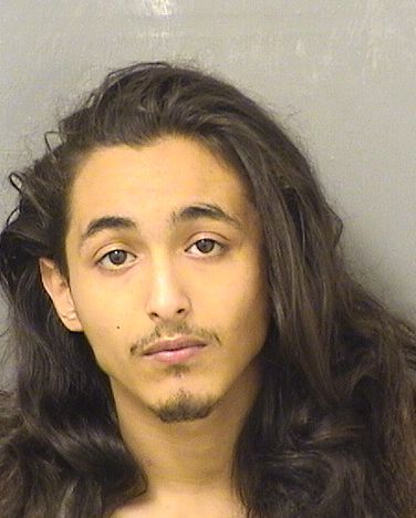  JESUS ALEXANDER GONZALEZ Results from Palm Beach County Florida for  JESUS ALEXANDER GONZALEZ