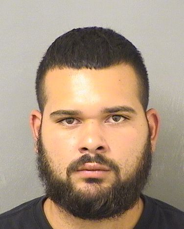  JOHNNY PENA Results from Palm Beach County Florida for  JOHNNY PENA