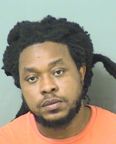  ERNST GARRY LAGUERRE Results from Palm Beach County Florida for  ERNST GARRY LAGUERRE