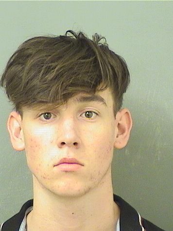  JACOB DAVIDVINCENT RAKSTIS Results from Palm Beach County Florida for  JACOB DAVIDVINCENT RAKSTIS