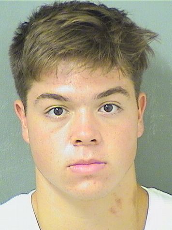  JOAO PEDRO FLORENTINOMATTOS Results from Palm Beach County Florida for  JOAO PEDRO FLORENTINOMATTOS