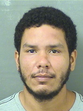  PETER L Jr ALMESTICA Results from Palm Beach County Florida for  PETER L Jr ALMESTICA