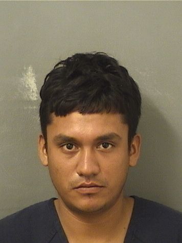  MAYRO JOHN MENDEZHERNANDEZ Results from Palm Beach County Florida for  MAYRO JOHN MENDEZHERNANDEZ