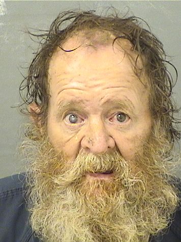  KEVIN PATRICK BRONSON Results from Palm Beach County Florida for  KEVIN PATRICK BRONSON