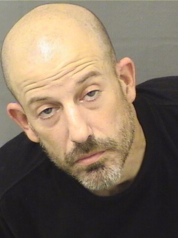  MITCHELL JAMES FELDMAN Results from Palm Beach County Florida for  MITCHELL JAMES FELDMAN