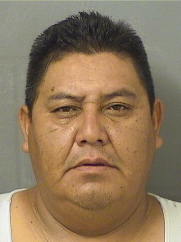  ALFREDI ELIGIOANDRACA Results from Palm Beach County Florida for  ALFREDI ELIGIOANDRACA