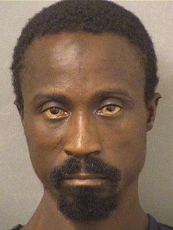  DANTE RASHOD ANDREWS Results from Palm Beach County Florida for  DANTE RASHOD ANDREWS