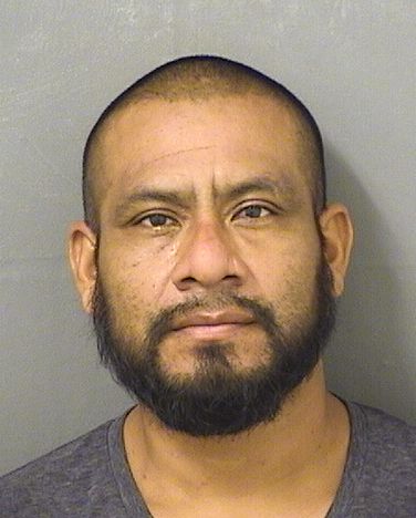  PEDRO FELIXGASPAR Photo For  PEDRO FELIXGASPAR