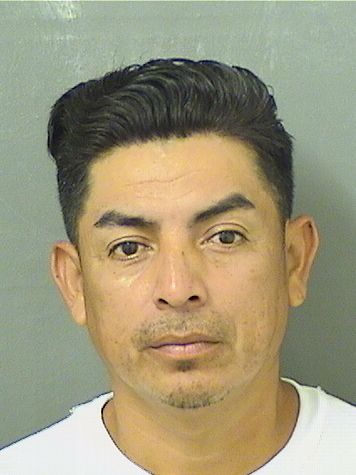  RIGOBERTO DAVID MALDONADO Resultados de la busqueda para Palm Beach County Florida para  RIGOBERTO DAVID MALDONADO