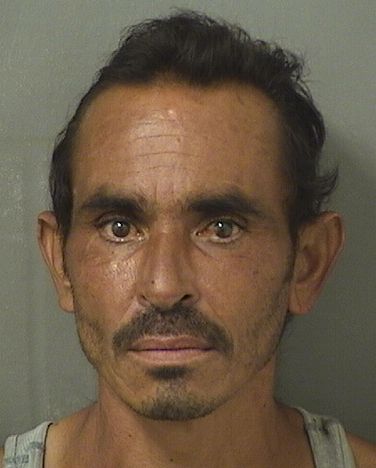  JORGE LUIS PENA Results from Palm Beach County Florida for  JORGE LUIS PENA