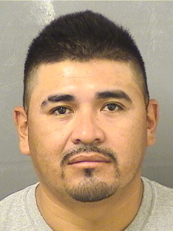  LIADELL NOVERON GONGORA Resultados de la busqueda para Palm Beach County Florida para  LIADELL NOVERON GONGORA