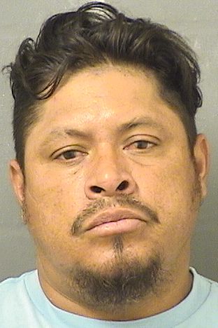  JOSE R PINEDAROSALES Results from Palm Beach County Florida for  JOSE R PINEDAROSALES