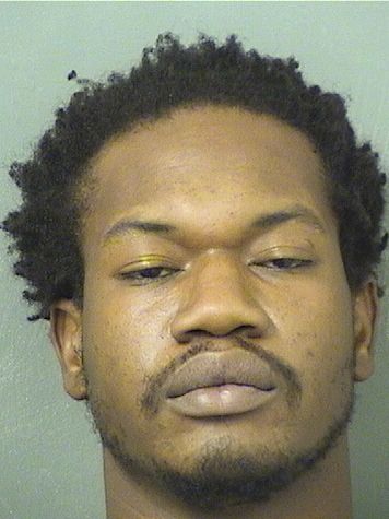  BENDJI CELAMI Results from Palm Beach County Florida for  BENDJI CELAMI