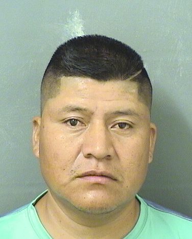  GENARO ANASTACIO LOPEZLOPEZ Results from Palm Beach County Florida for  GENARO ANASTACIO LOPEZLOPEZ