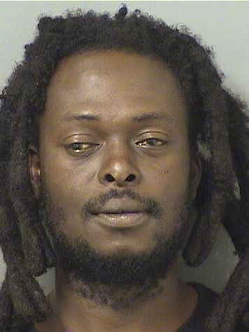  DIEULIC FRANCOIS Resultados de la busqueda para Palm Beach County Florida para  DIEULIC FRANCOIS