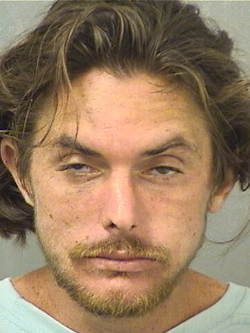  MICHAEL ANTHONY GUARNEIRI Results from Palm Beach County Florida for  MICHAEL ANTHONY GUARNEIRI