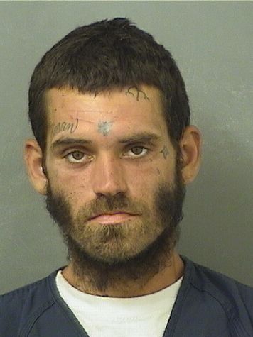  BRANDON M BOROZNY Results from Palm Beach County Florida for  BRANDON M BOROZNY