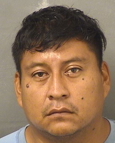  JUAN CARLOS MARTINEZLOPEZ Resultados de la busqueda para Palm Beach County Florida para  JUAN CARLOS MARTINEZLOPEZ