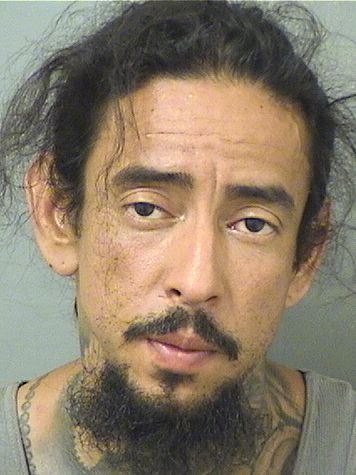  RICARDO T QUINTANILLA Results from Palm Beach County Florida for  RICARDO T QUINTANILLA