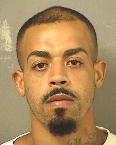  MIGUEL A DAVILA Resultados de la busqueda para Palm Beach County Florida para  MIGUEL A DAVILA