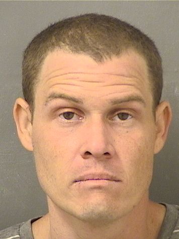  MICHAEL STRADFORD Results from Palm Beach County Florida for  MICHAEL STRADFORD