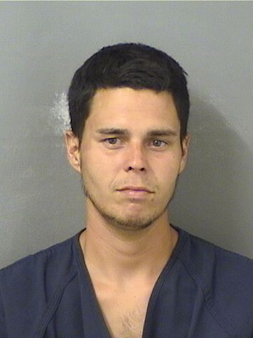  TYLER J CALLAHAN Results from Palm Beach County Florida for  TYLER J CALLAHAN