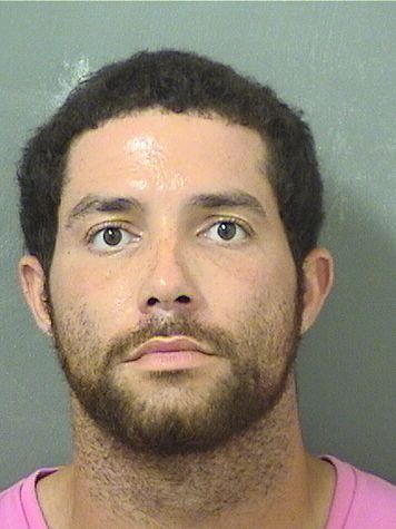  AVERY JAMES JOSEPH Results from Palm Beach County Florida for  AVERY JAMES JOSEPH