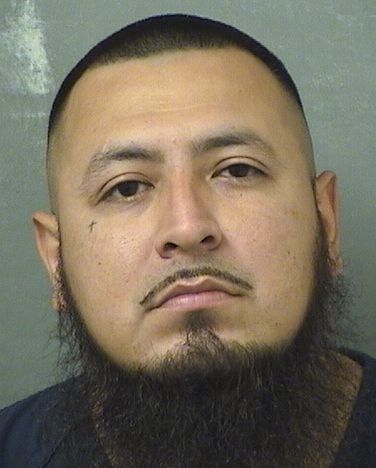  MARIO ALBERTO CARDENAS Results from Palm Beach County Florida for  MARIO ALBERTO CARDENAS