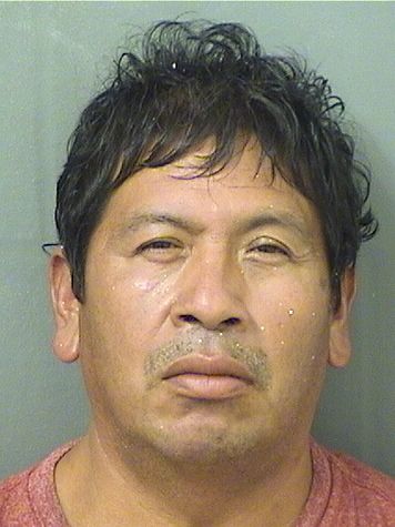  ROMULO DELFINO BAILRAMIREZ Results from Palm Beach County Florida for  ROMULO DELFINO BAILRAMIREZ