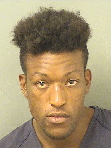  DOMINICK RAYNAL JOHNSON Resultados de la busqueda para Palm Beach County Florida para  DOMINICK RAYNAL JOHNSON