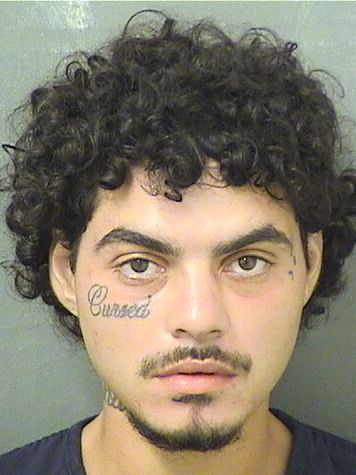  ALEXANDER ISIAH CLAUDIO Results from Palm Beach County Florida for  ALEXANDER ISIAH CLAUDIO