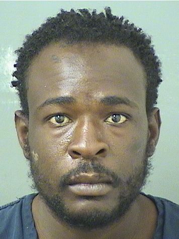  JAMES GUERRIER Results from Palm Beach County Florida for  JAMES GUERRIER