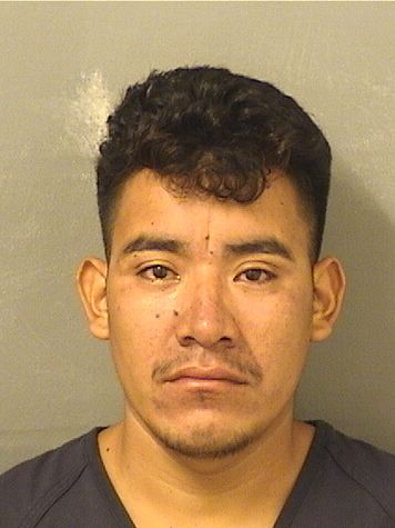  UBALDO MORALES Results from Palm Beach County Florida for  UBALDO MORALES