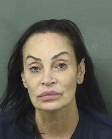  MICHELLE RENEE FASSBERG Results from Palm Beach County Florida for  MICHELLE RENEE FASSBERG