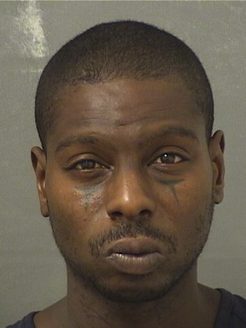  WINSTON LEVY Results from Palm Beach County Florida for  WINSTON LEVY