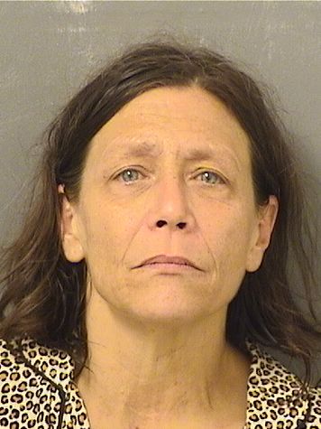  JOYCE DENEEN VAIL Results from Palm Beach County Florida for  JOYCE DENEEN VAIL