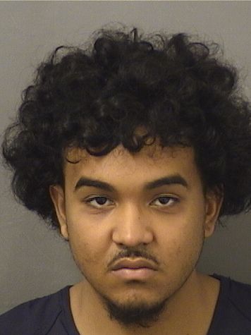  JOHAN CONCEPCION Results from Palm Beach County Florida for  JOHAN CONCEPCION