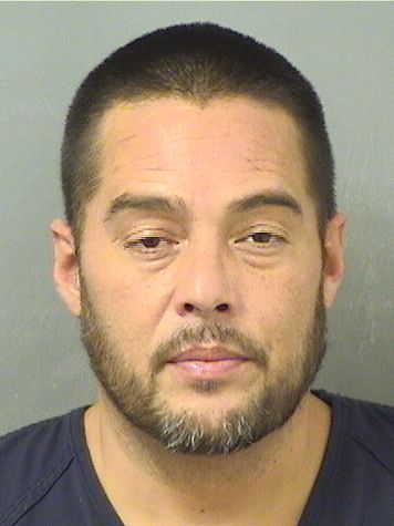  CHRISTIAN ALEXANDER MUNOZ Results from Palm Beach County Florida for  CHRISTIAN ALEXANDER MUNOZ