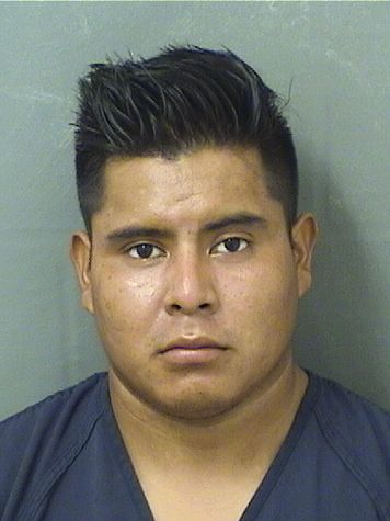  JESUS MIGUEL Results from Palm Beach County Florida for  JESUS MIGUEL