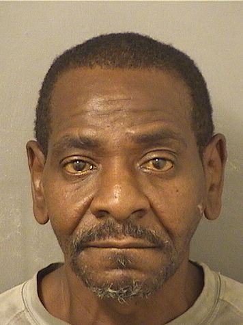  DAVID MCDANIEL Results from Palm Beach County Florida for  DAVID MCDANIEL