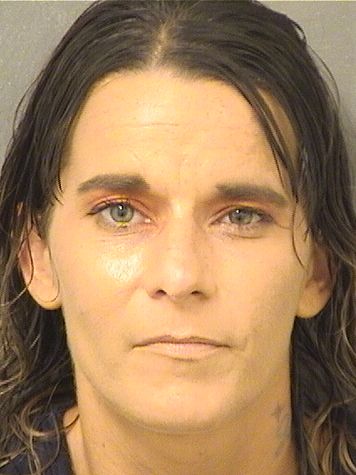  SHELBY L RYBICKI Results from Palm Beach County Florida for  SHELBY L RYBICKI