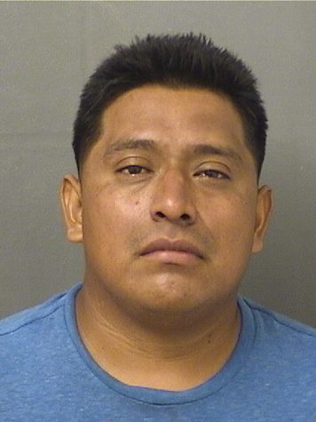  EDWIN NOE CINTOMACARIO Results from Palm Beach County Florida for  EDWIN NOE CINTOMACARIO