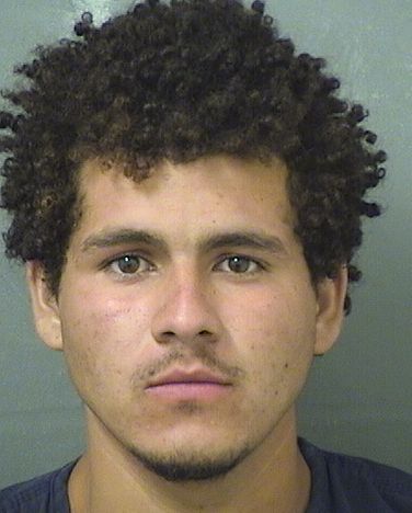  HUGO J PADILLA Results from Palm Beach County Florida for  HUGO J PADILLA