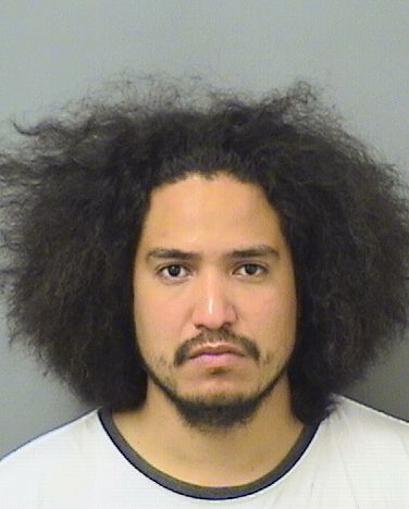  RAMON O MAYORGA Results from Palm Beach County Florida for  RAMON O MAYORGA