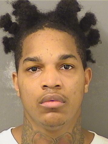  DANIEL A GRAY Results from Palm Beach County Florida for  DANIEL A GRAY