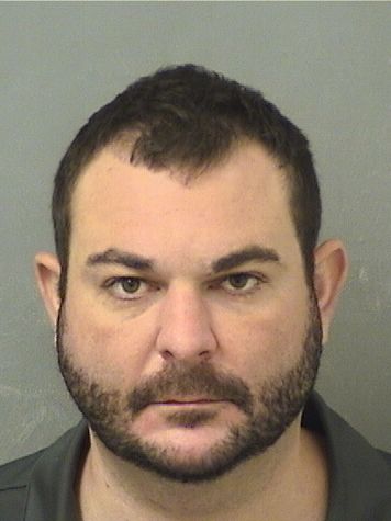  MICHAEL DEANGELO Results from Palm Beach County Florida for  MICHAEL DEANGELO