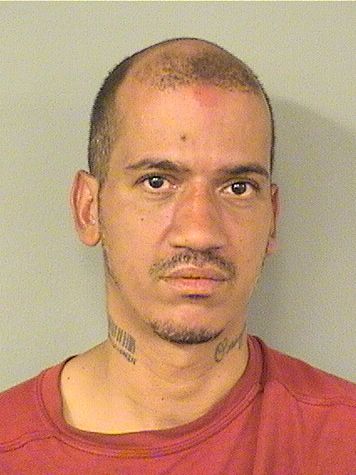  ARNALDO A MURIEL Results from Palm Beach County Florida for  ARNALDO A MURIEL