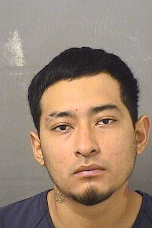  LUIS ALBERTO AMAYAHERNANDEZ Resultados de la busqueda para Palm Beach County Florida para  LUIS ALBERTO AMAYAHERNANDEZ
