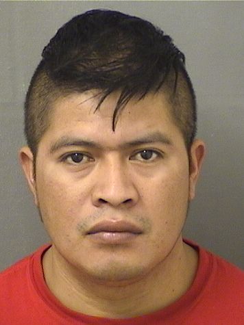 SEBASTIAN O DIAZDOMINGO Results from Palm Beach County Florida for SEBASTIAN O DIAZDOMINGO SEBASTIAN O DIAZDOMINGO Results from Palm Beach County Florida for SEBASTIAN O DIAZDOMINGO